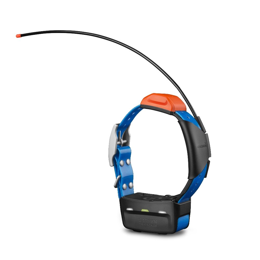 T 5 Additional GPS Tracking Collar