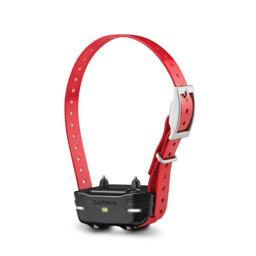 PT 10 Additional PRO Dog Collar Red