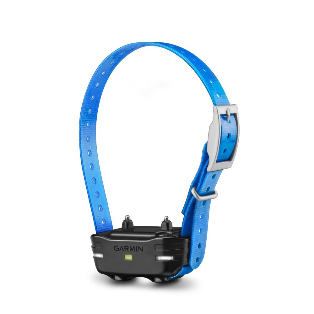 PT 10 Additional PRO Dog Collar Blue