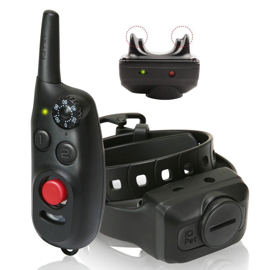 iQ Cliq Dog Remote Trainer