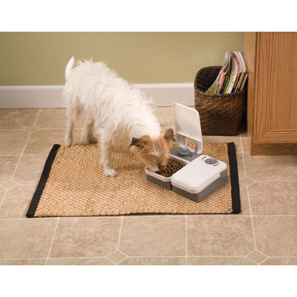 2 Meal Pet Feeder