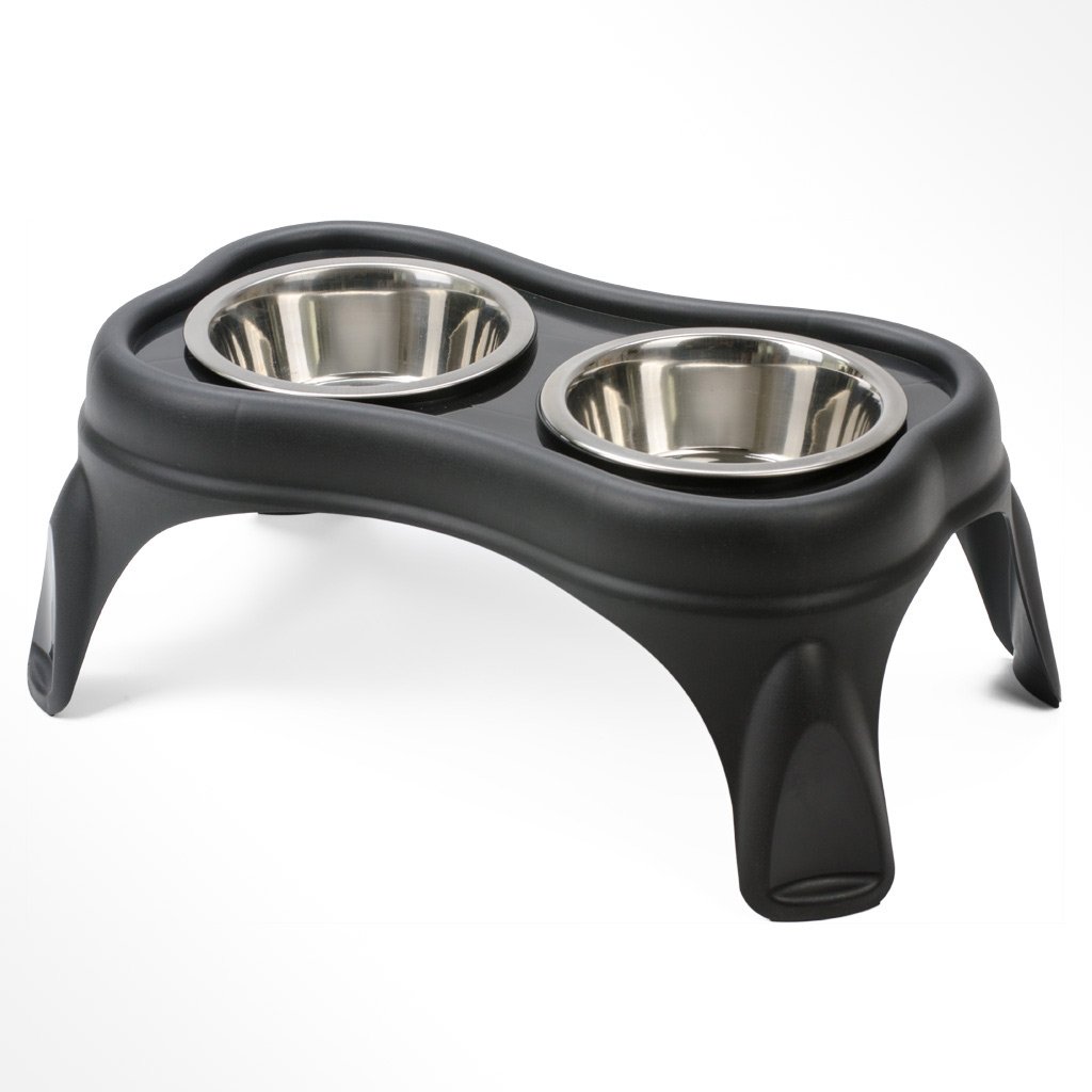 Eleveted Bone Dog Feeder