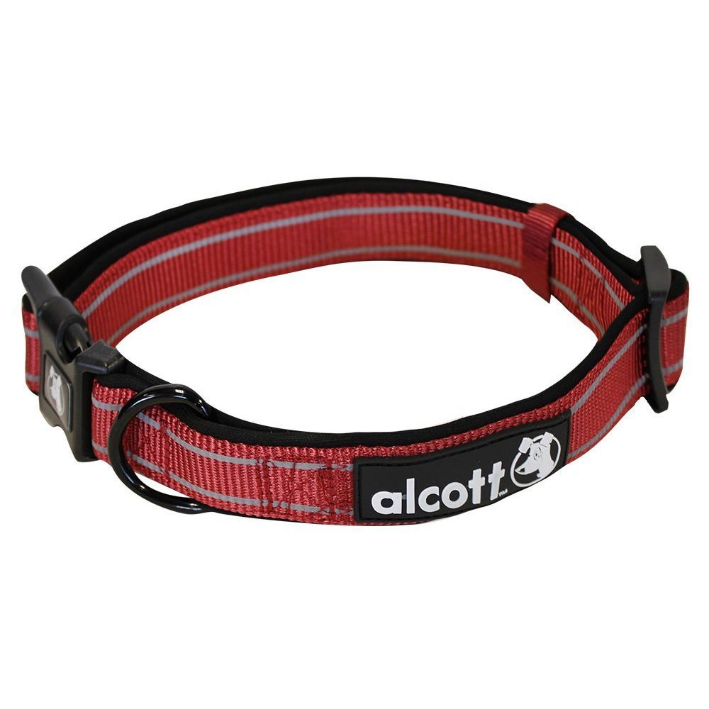 Essential Adventure Dog Collar