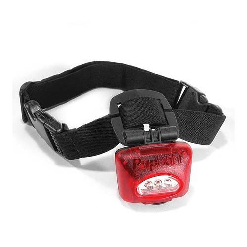 Dog Safety Light