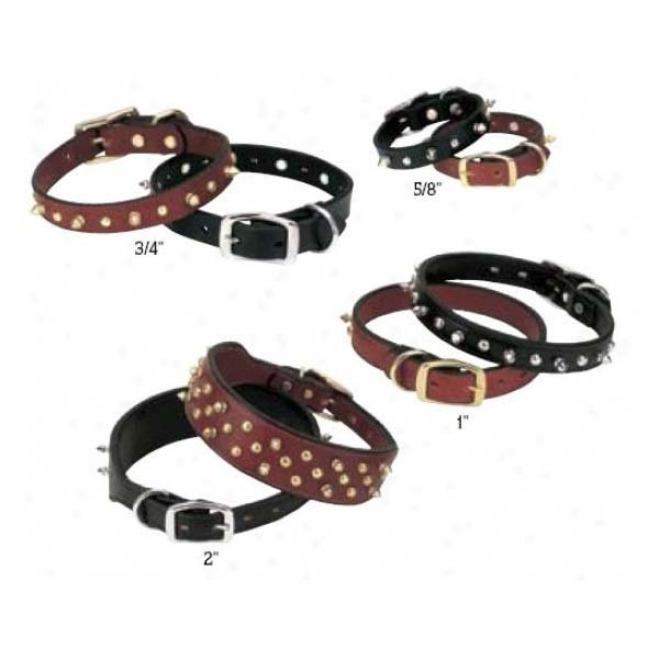 Spike's Collar Single-Ply (Color: Black)