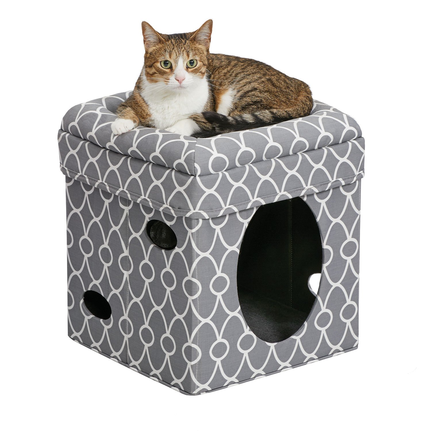 Curious Cat Cube (Color: Gray)