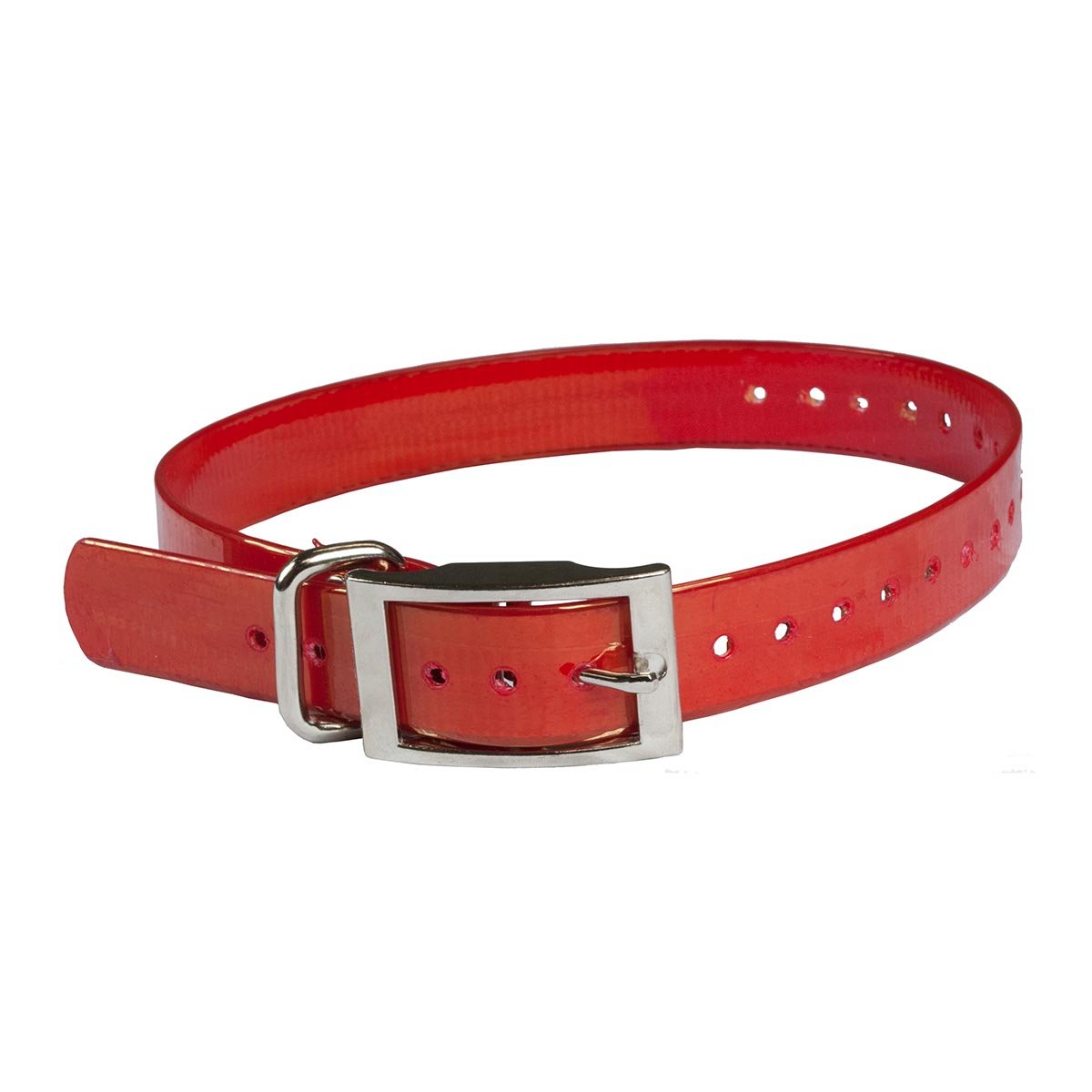 Replacement Collar Strap 1" (Color: Red)