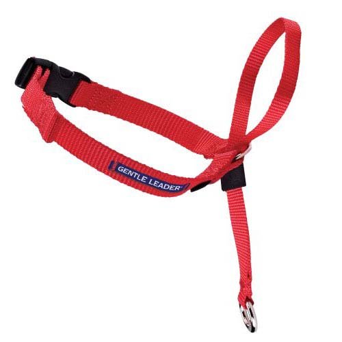 Gentle Leader Quick Release Head Collar (Color: Red, size: large)