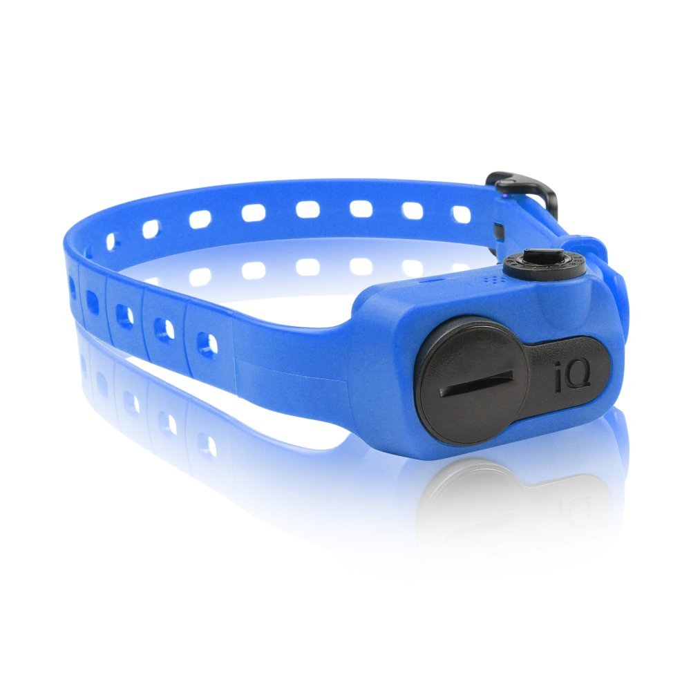 iQ No Bark Collar (Color: Blue)