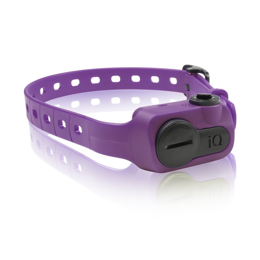 iQ No Bark Collar (Color: Orange)