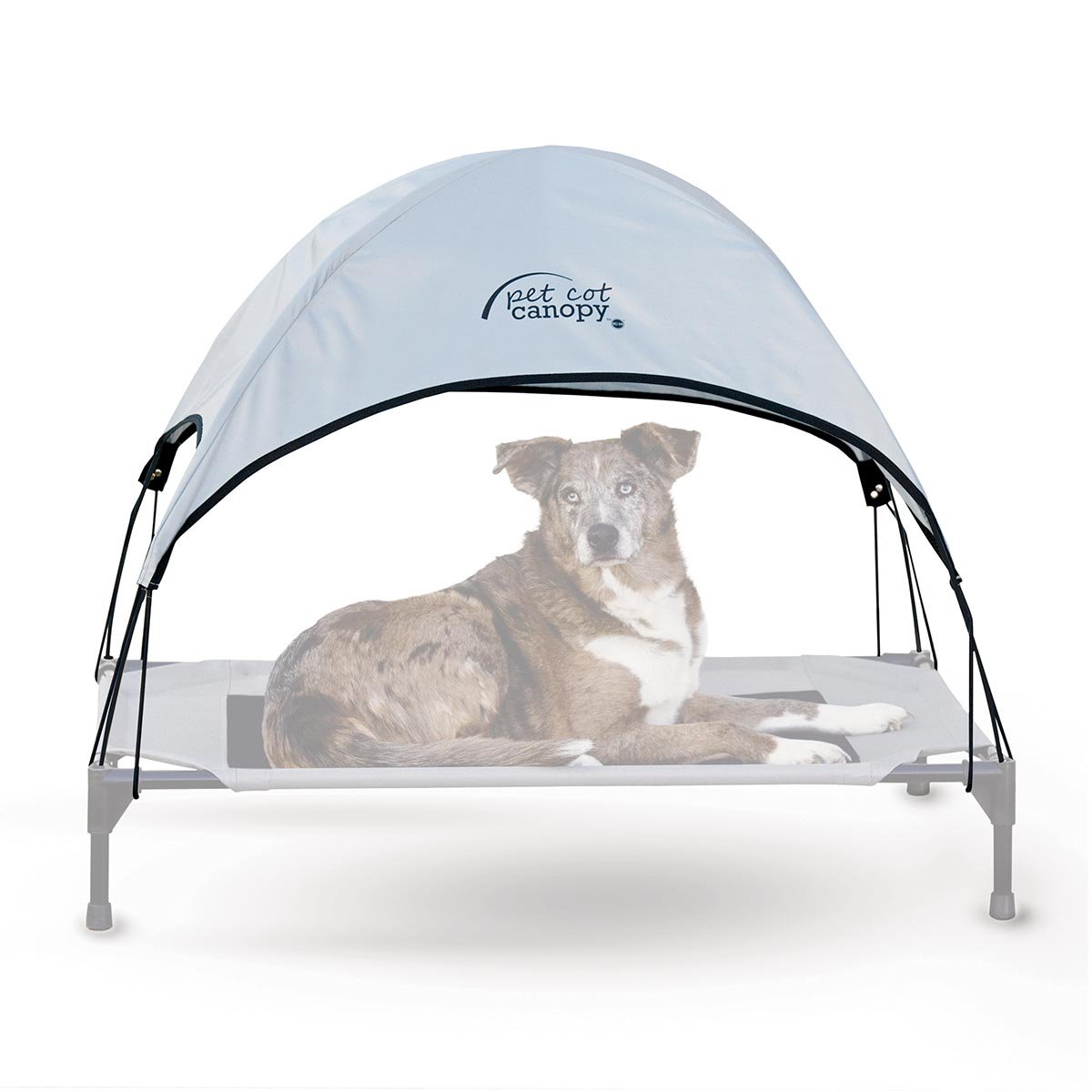 Pet Cot Canopy (Color: Gray, size: large)