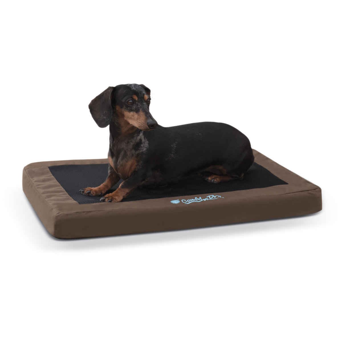 Comfy n' Dry Indoor-Outdoor Pet Bed (Color: Chocolate, size: medium)