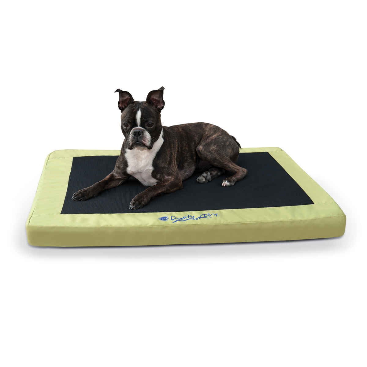 Comfy n' Dry Indoor-Outdoor Pet Bed (Color: Green, size: medium)