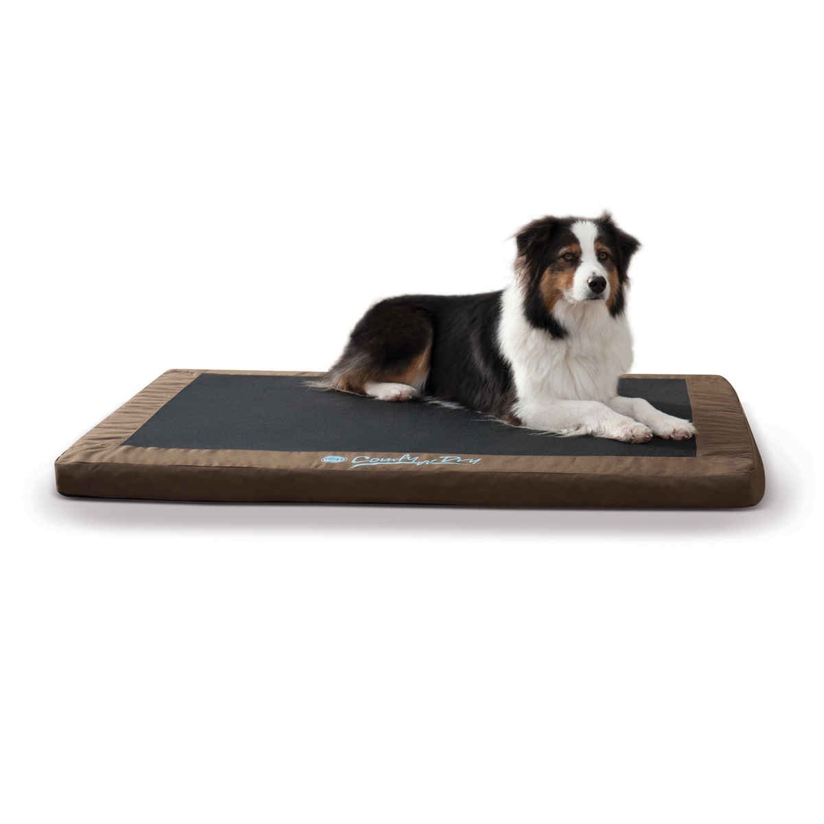 Comfy n' Dry Indoor-Outdoor Pet Bed (Color: Chocolate, size: large)