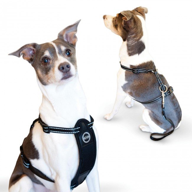 Travel Safety Pet Harness (Color: Black, size: small)