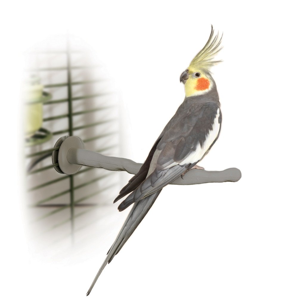 Bird Thermo-Perch (Color: Gray)