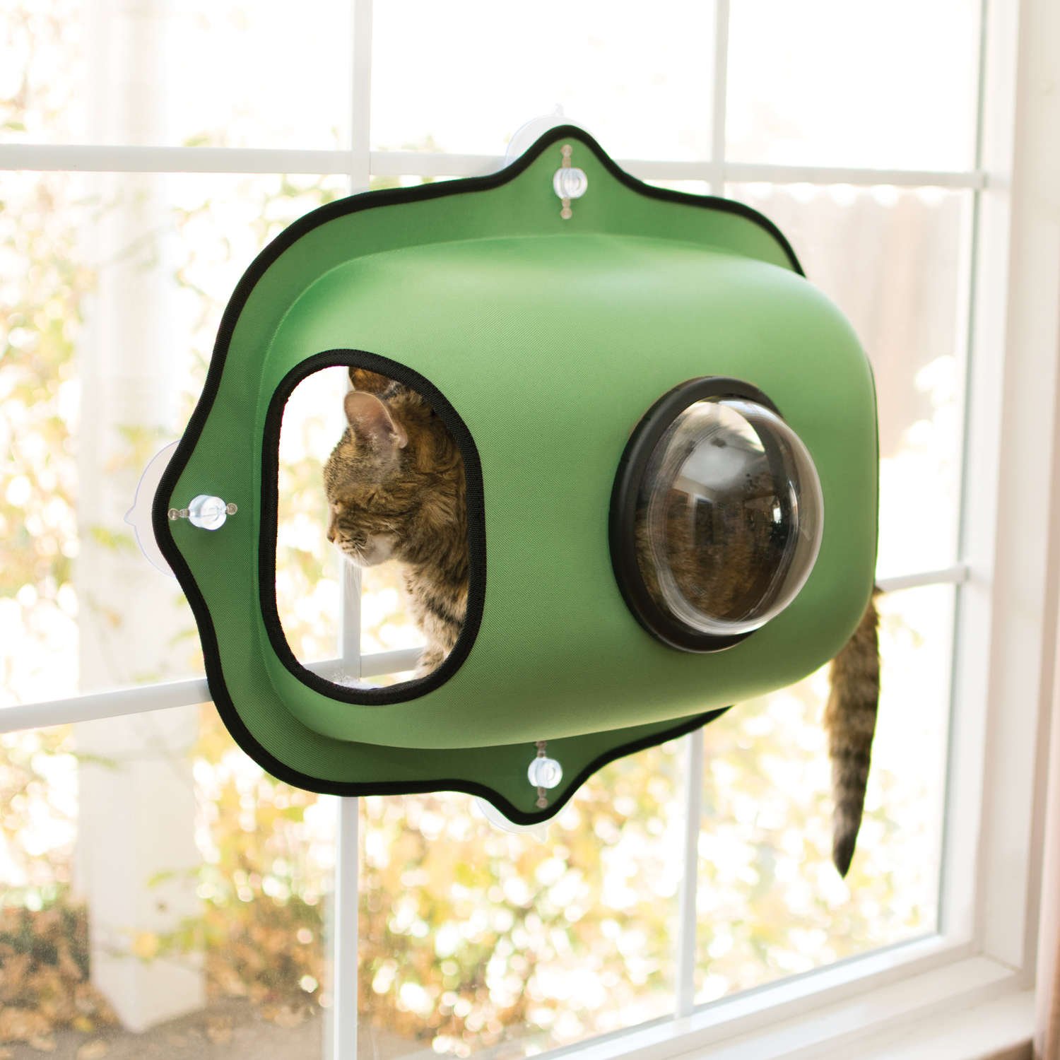 EZ Mount Window Bubble Cat Pod (Color: Green)